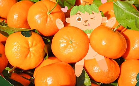 С������ӽ̰�