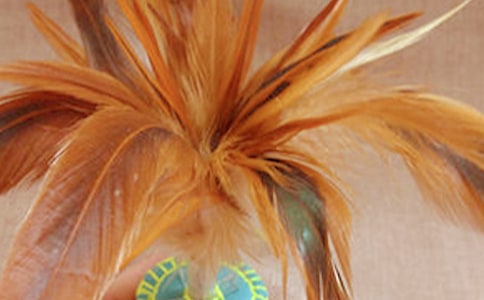 �����ȤС���ܽ�