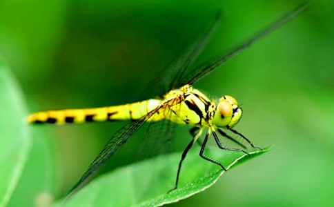 ǧ����̽�������-��-�ŷ����ѡ���ѧ��˼--���컨�Ὺ