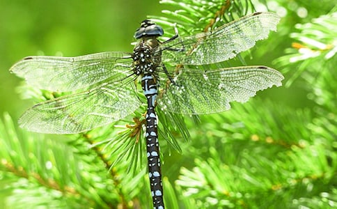 С��������Ϸ׽���ѽ̰�