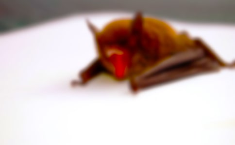 ������״�̰�����6ƪ