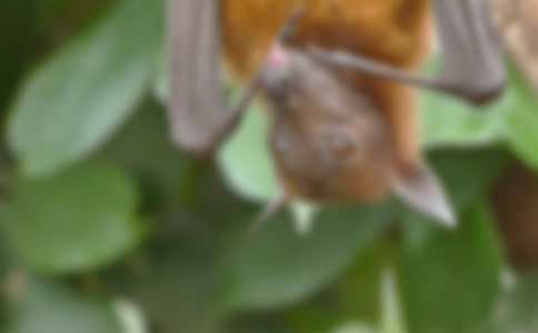 ������״�̰�����5ƪ