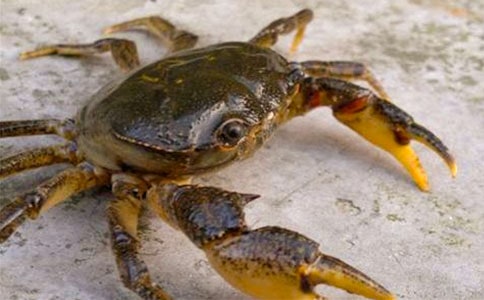 ���з�衷��ѧ��˼