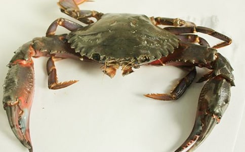 ������Խ̰�С�з�ҹ���