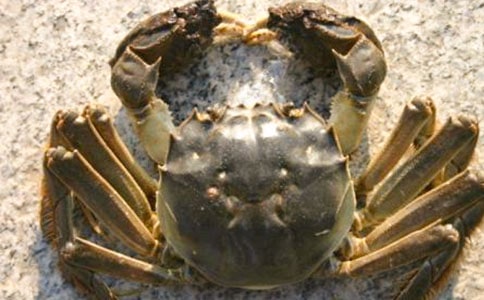 �а໭�з�̰�