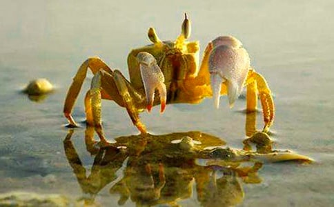 ������Խ̰��з��������ƪ