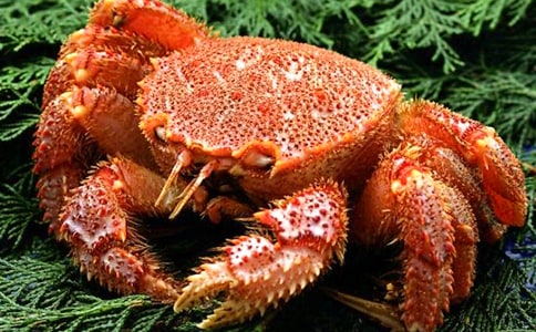 ���¶���С�з�������(����)