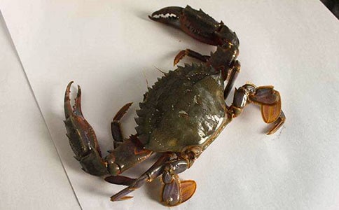 �������С�з�ҹ����̰�13ƪ