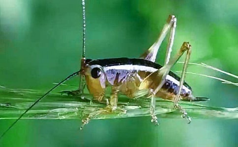 �������������סլ����ѧ��˼