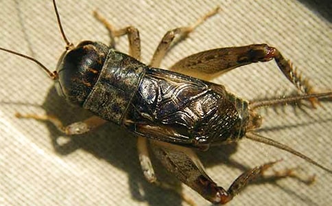 �����סլ����ѧ��˼����15ƪ��