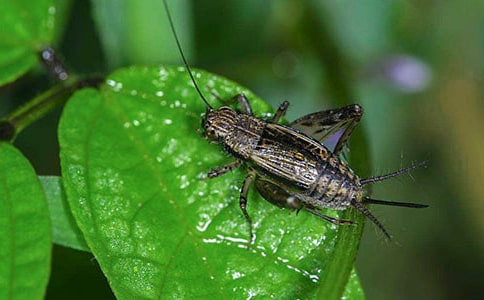 ���סլ����̰�7ƪ