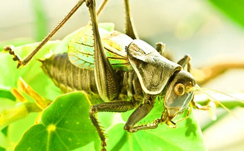 �����֮������