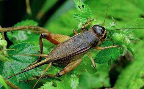 �����סլ���̰�(��ѡ15ƪ)