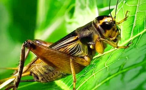 ���סլ�̰�(15ƪ)