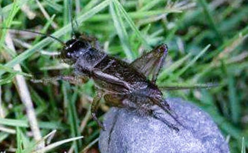 ���סլ��ѧ��˼����15ƪ