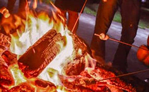 �������������ܽ᰸��