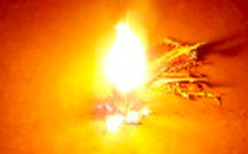 �������ὲ����