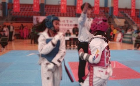 ��ȭ���ݹ����ƶȣ���ѡ6ƪ��