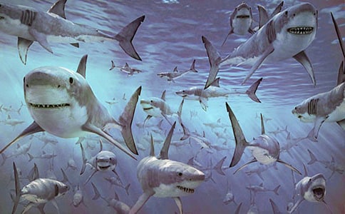 ��ࡶ��Ц�����㡷�̰�