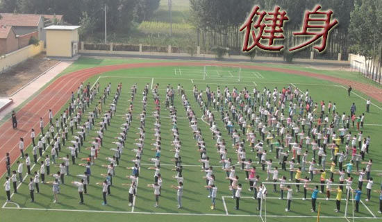 ����ѡ�������������ƶ�