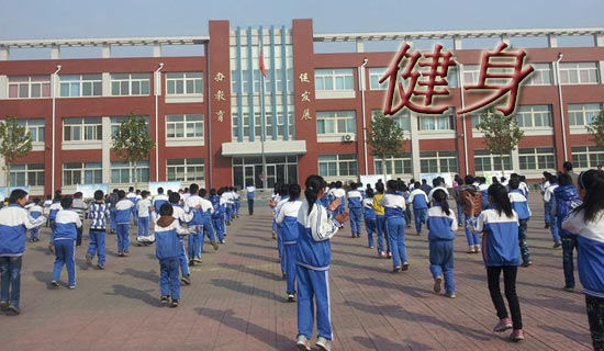 ��ѧ���������ֲ���ҵ�ƻ���