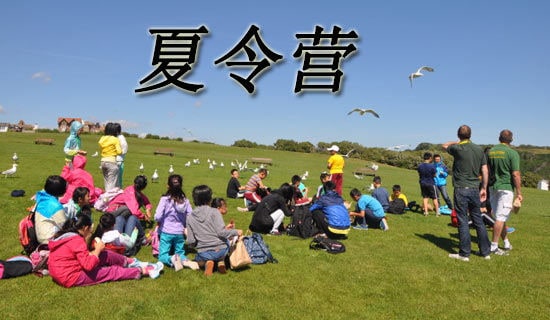 ������Ӫ�еĽ����������