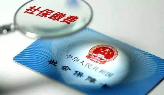 ���籣������15ƪ